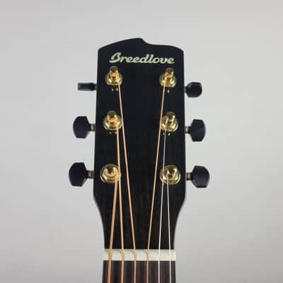 Breedlove Performer Pro Parlor Concertina E - Tobacco Burst With OHSC Free Shipping image 3
