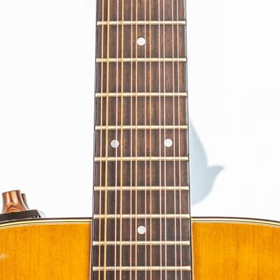 Daion MUGEN Mark I / 12 String w/ Factory Transducer Pickup image 2