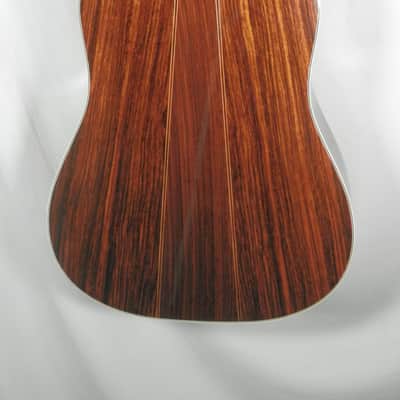 A LoPrinzi LR-20 Dreadnought Acoustic Guitar with case used image 15