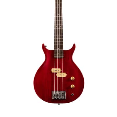 Washburn SB4 Wing Series Scavenger Bass w/Gigbag image 1