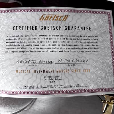 Gretsch G6134 TG 2025 - Gold Paisley image 3