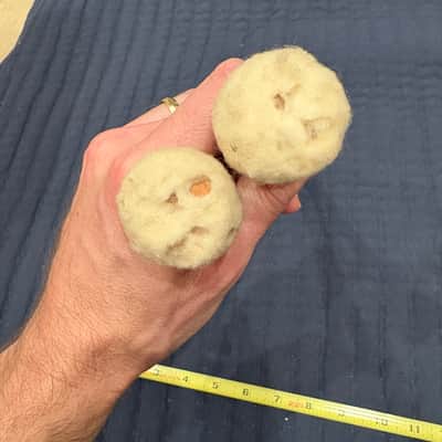 Charles Botterill Vintage Timpani Mallets 1990s? image 4