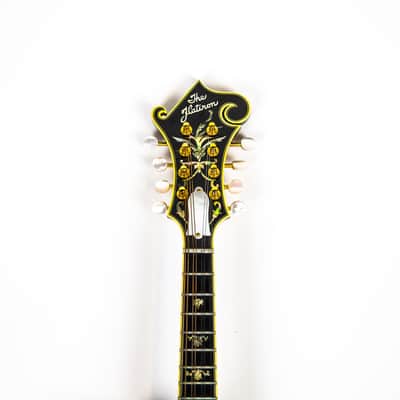 Flatiron F5 Master Model Owned by Matt Freeman Of Rancid image 4