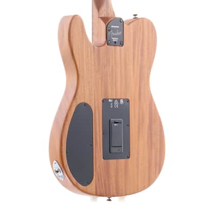 Fender Mexico FINNEAS Signature Acoustasonic Player Telecaster Cappuccino Fade [MXA2402767] (04/17) image 9