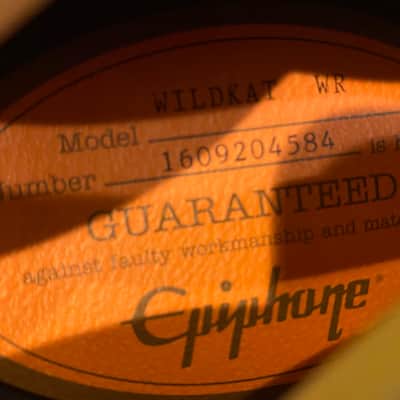 Epiphone Wild-Cat 2016 - Wine Red image 15