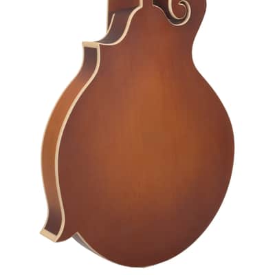 Gold Tone F-10 Mastertone Solid Spruce Top Maple Neck 10-String F-Style Mandolin w/Hard Foam Case image 2