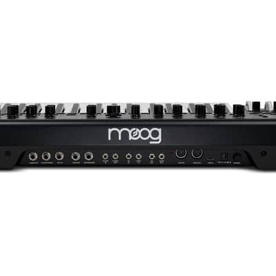 Moog Music Messenger Monophonic Analog Keyboard Synthesizer image 4