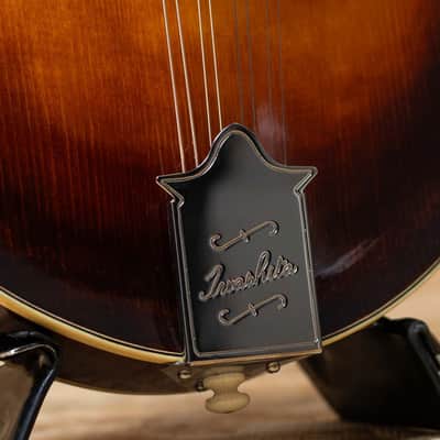 Iwashita Mandolins&Guitars F 5 2024 image 9