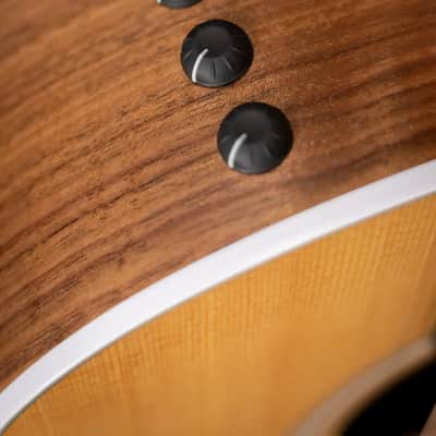 Taylor 214ce Grand Auditorium Acoustic/Electric Guitar with Gig Bag image 13