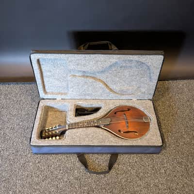 Modern A Mandolin Case image 6