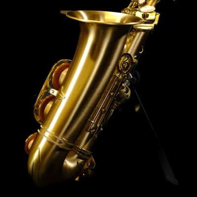 P. Mauriat Le Bravo 200 Alto Saxophone LEBRAVO-200A image 13