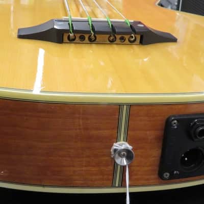 Washburn AB-20 1990s - Gloss Natural Wood With Washburn Case image 10