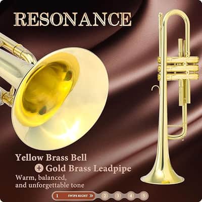 Bb Standard Trumpet for Beginners | Student Band, Orchestra, Pro Level Performance | Professional Brass Trumpet Kit with Hard Case, Mouthpiece & Cleaning Kit | Gold image 3