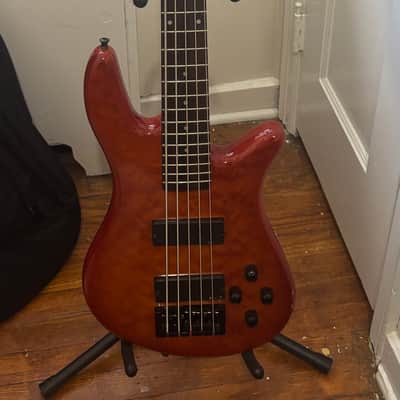 Spector Q5 Early 2000’s - Amber image 3
