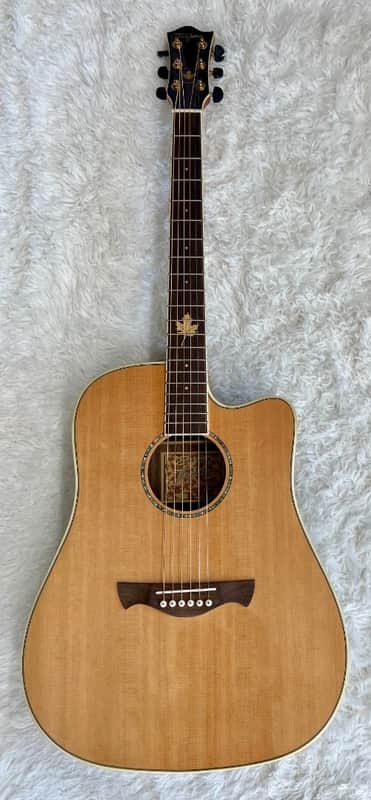 Tagima Canada Series Vancouver acoustic-electric guitar with hardshell case image 1