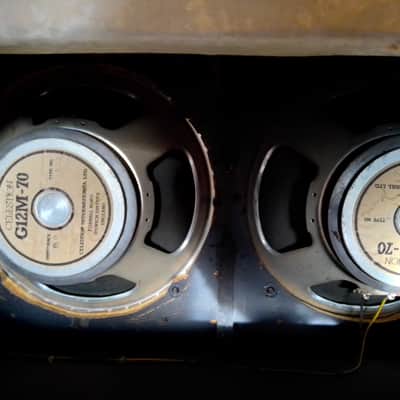 KURT COBAIN INSPIRED Undersized 2x12 Celestion G12M-70 Cab (EXACT NIRVANA BLEACH/RAPE ME TONE) image 3