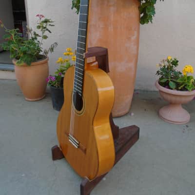 1978 Mitsuru Tamura flamenco blanca image 7
