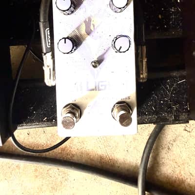 OBNE Flat Light + Walrus Slö + J Mascis Big Muff + EHX Memory Boy Pedal Lot image 5