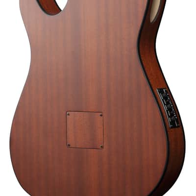 Ibanez FRH10N Thinline Nylon Acoustic Electric Guitar - Rose Gold Metallic Flat (FRH10NRGF) image 10