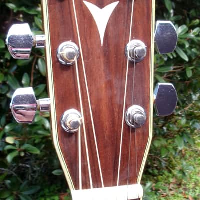 1981 Yairi D 35 YW-500P - Natural+Hard Case image 6
