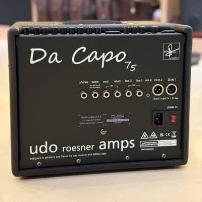 UDO ROESNER AMPS Da Capo 75w - Acoustic Guitar Combo image 5