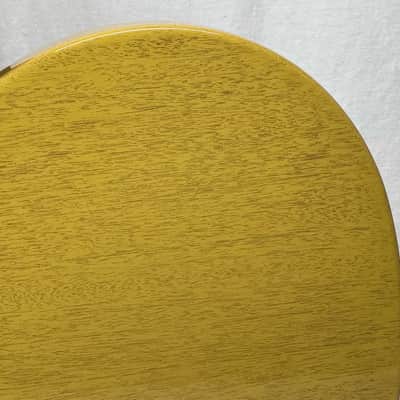 Gibson LPSP00TVNH1 Les Paul Special Guitar with Case 2023 - TV Yellow image 13