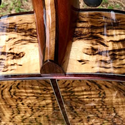 Stephen Kinnaird Sitka/Oregon Myrtle SJ 2018 Clear image 10
