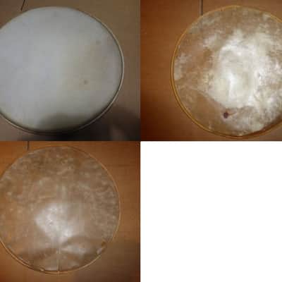 3x Set 12" , 13" calf drum head - Slingerland image 1