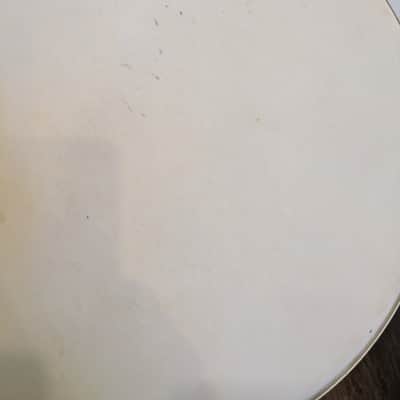 Gretsch Permatone 12" Drum Head 1960s image 5