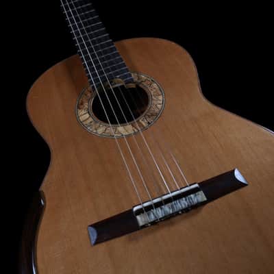 Classical Guitar by Tim Harris Double-top Concert Classical April 2019 - French Polish image 7