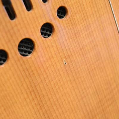 Godin Multiac Nylon SA Natural image 14