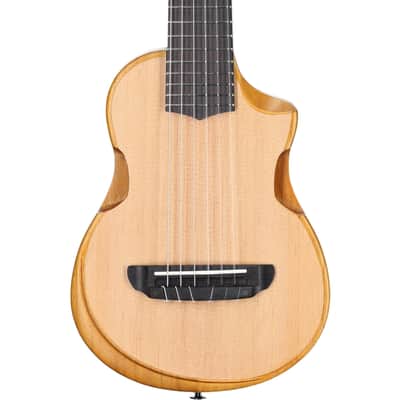 Ibanez AUP10N Tenor Ukulele (with Gig Bag), Open Pore Natural image 7