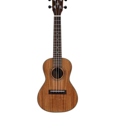 Alvarez RU90CP Regent Concert Ukulele Pack (Semi Gloss) image 3
