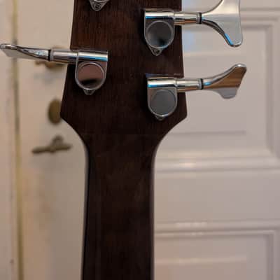 Ibanez Acoustic Bass (5 String) EWB205WNE-NT image 6
