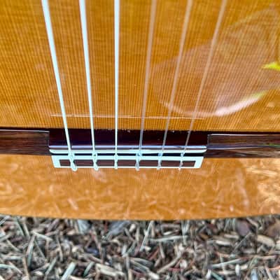 Yamaha GC-41C Grand Concert Classical Acoustic Guitar image 10