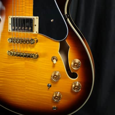 Ibanez JSM10EM-TTB John Scofield Signature - Two-tone Burst image 7