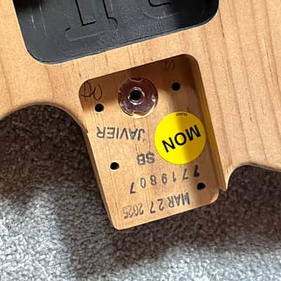 Fender American Professional II Telecaster guitar body image 3