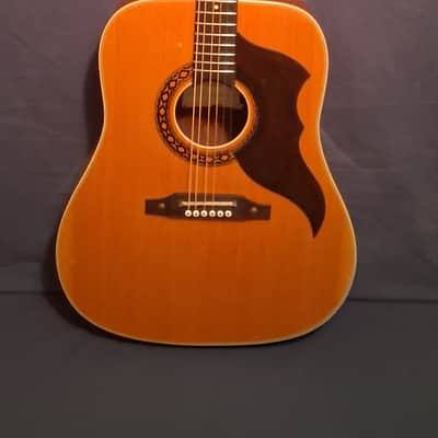 1960's Eko Ranger VI Acoustic Guitar image 1