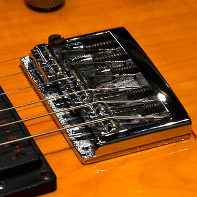 Fenix Young Chang TM Tele - Archtop with Schaller Piezo Bridge image 12