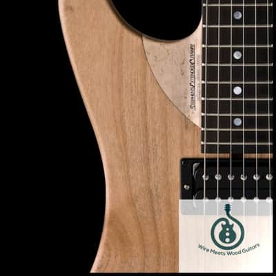 Washburn N4VINTAGE-D Natural Distressed, Nuno Usa Signature Serie w/GCN4 case image 4