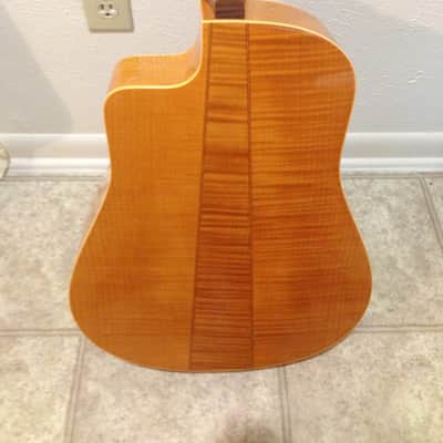 Seagull Artist Cameo CW iBeam Duet 2003 Antique Gloss image 4