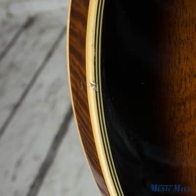 Palmer 335 Semi-hollow Electric Guitar (USED) image 9