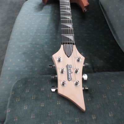 ~Cashner~ !!!Destroyer!!! Electric Guitar image 7