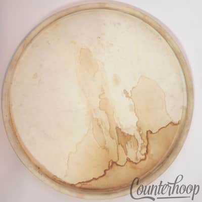 *Leedy 12" Calf Skin Ride Tom Drum Head Calfskin Thick Batter USA Vintage 20s* image 3