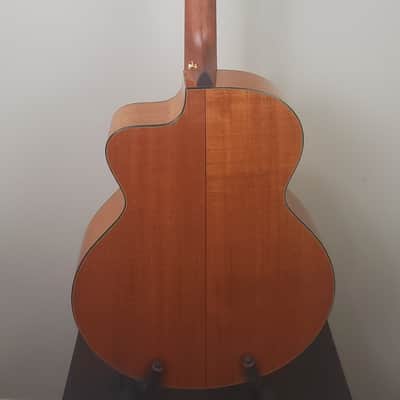 2001 Taylor Signature Model Leo Kottke 6-string image 5