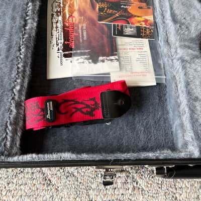Epiphone Thunderbird image 4