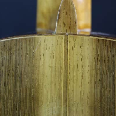 M.G. Contreras Spanish Classical Guitar Vintage 1964 Cedar & Brazilian Rosewood image 15