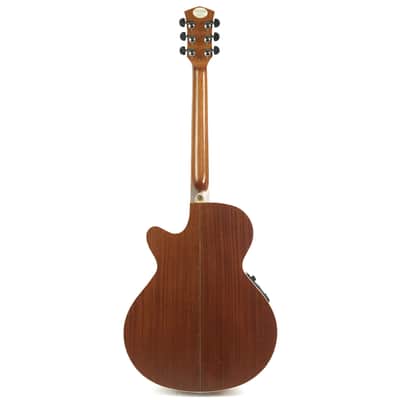 Parkwood Acoustic Owned by Greg Howe image 2