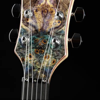 Alembic Further 6 - Buckeye Burl - Resin Top image 6