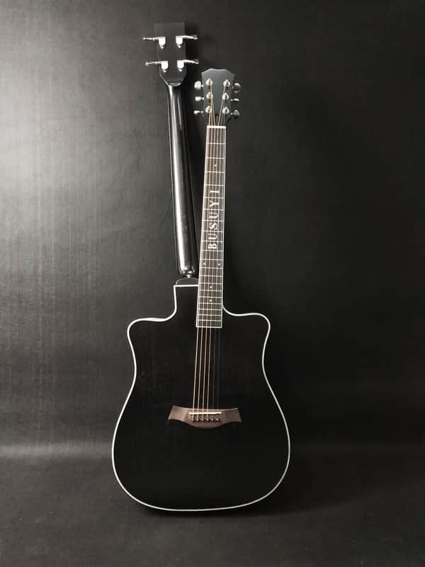 Busuyi Guitar 4 String Bass 6 String Lead Acoustic, Travel Acoustic Guitar with Hard Case image 1
